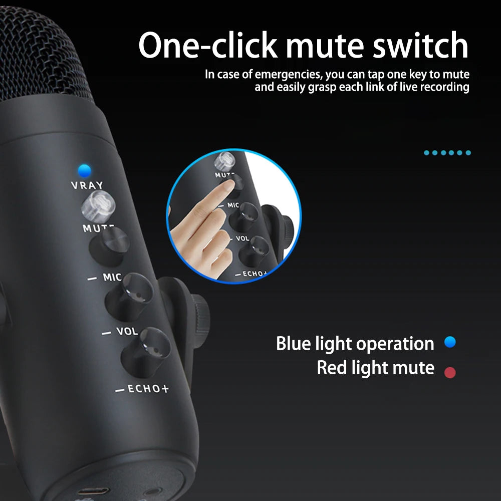 Professional USB Condenser Microphone Studio Recording Mic for PC Computer Gaming Streaming Podcasting